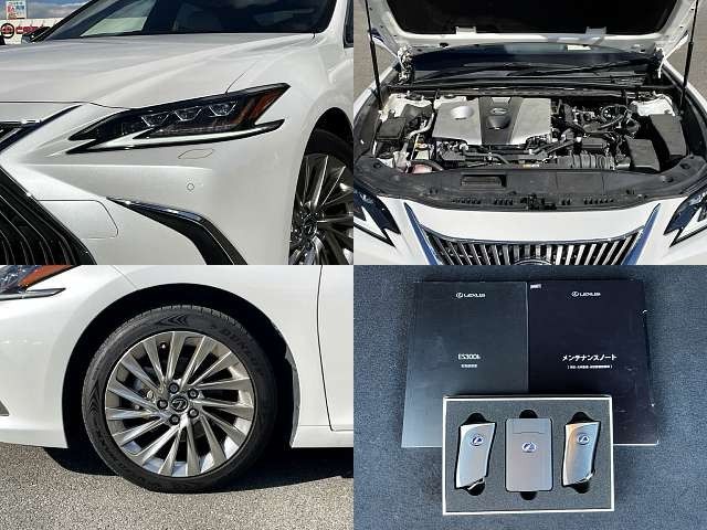 TOYOTA LEXUS ES300h 2020