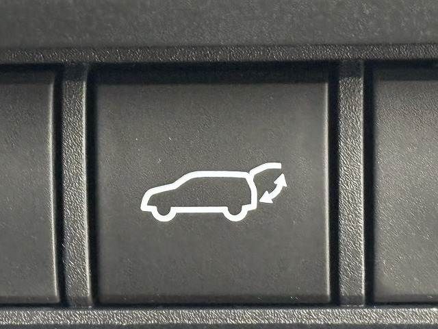 TOYOTA LANDCRUISER 250 2024