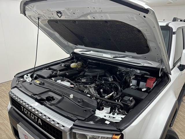 TOYOTA LANDCRUISER 250 2024