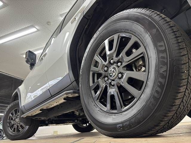 TOYOTA LANDCRUISER 250 2024