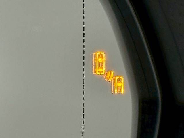 TOYOTA LEXUS NX300 2020