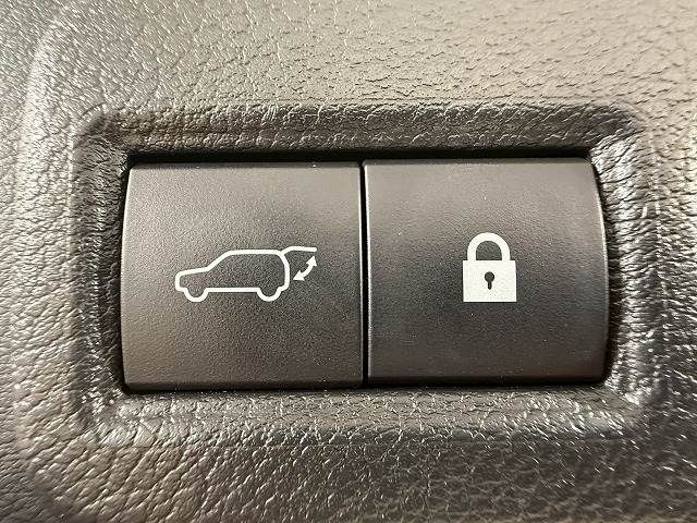 TOYOTA LEXUS NX300 2020