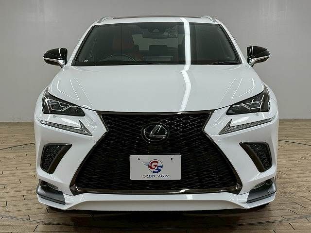 TOYOTA LEXUS NX300 2020