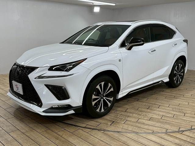 TOYOTA LEXUS NX300 2020