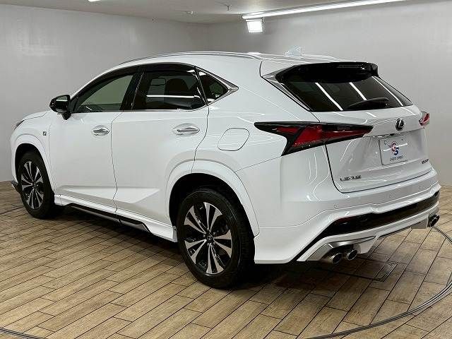 TOYOTA LEXUS NX300 2020