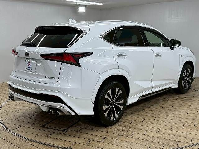 TOYOTA LEXUS NX300 2020