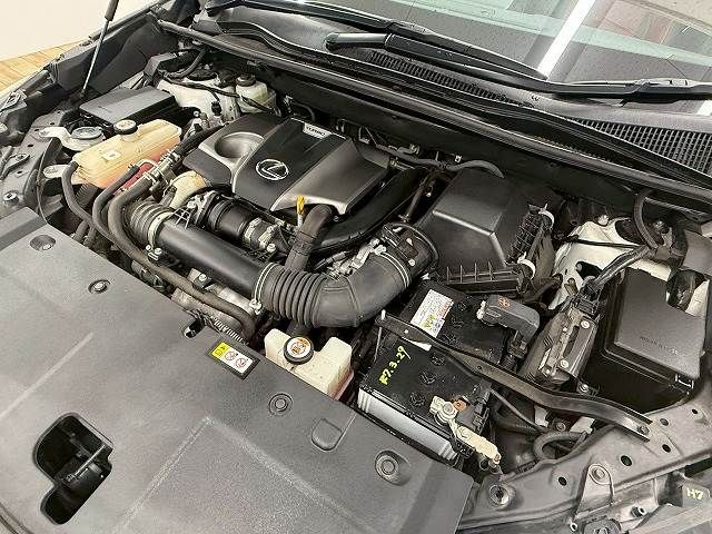 TOYOTA LEXUS NX300 2020