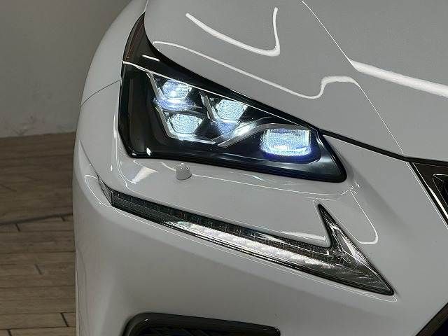 TOYOTA LEXUS NX300 2020