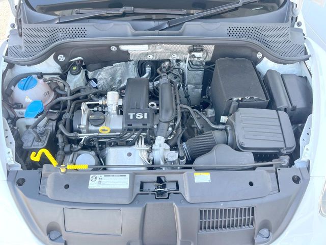 VOLKSWAGEN VOLKSWAGEN The BEETLE 2016