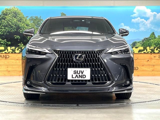 TOYOTA LEXUS NX350h 2023