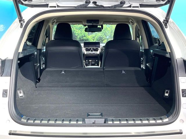 TOYOTA LEXUS NX300 2018