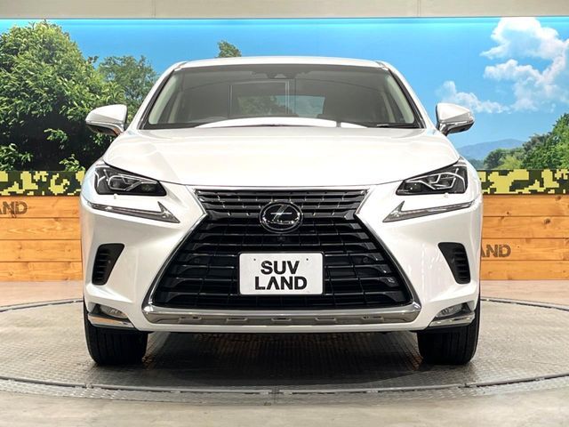 TOYOTA LEXUS NX300 2018