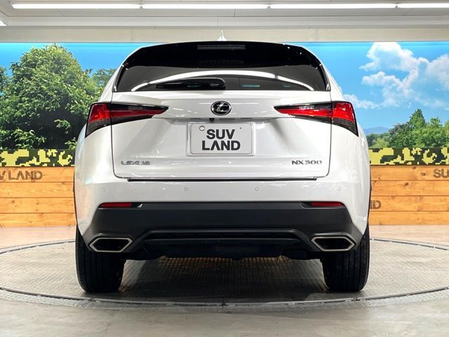 TOYOTA LEXUS NX300 2018