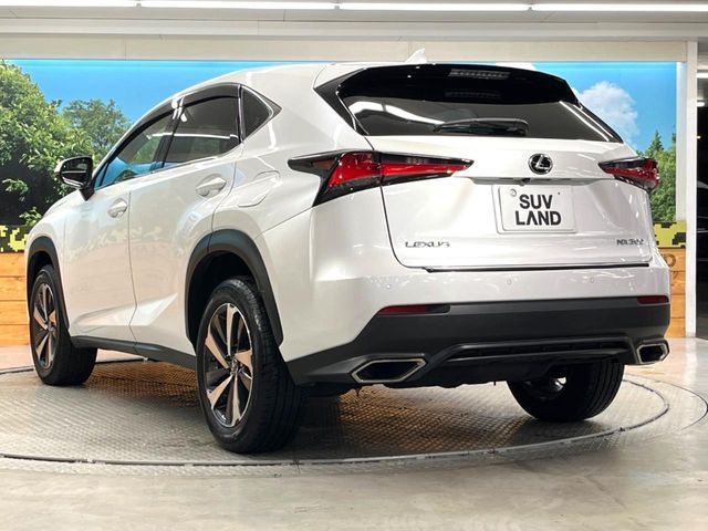 TOYOTA LEXUS NX300 2018