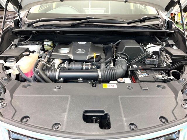 TOYOTA LEXUS NX300 2018