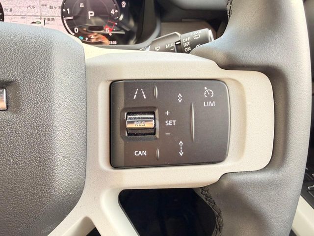 ROVER ROVER DEFENDER 2024