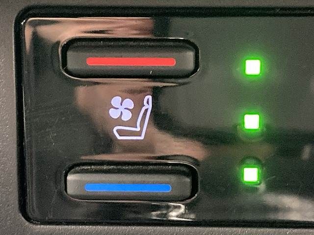 TOYOTA RAV4 PHV 2020