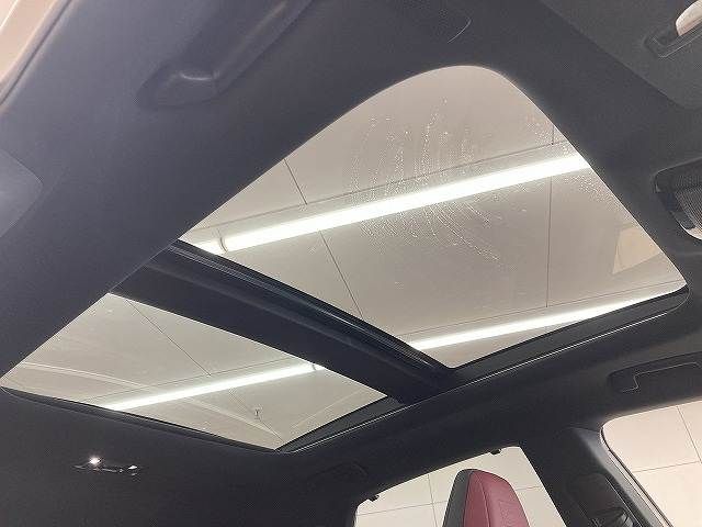 TOYOTA LEXUS RX500h 2023