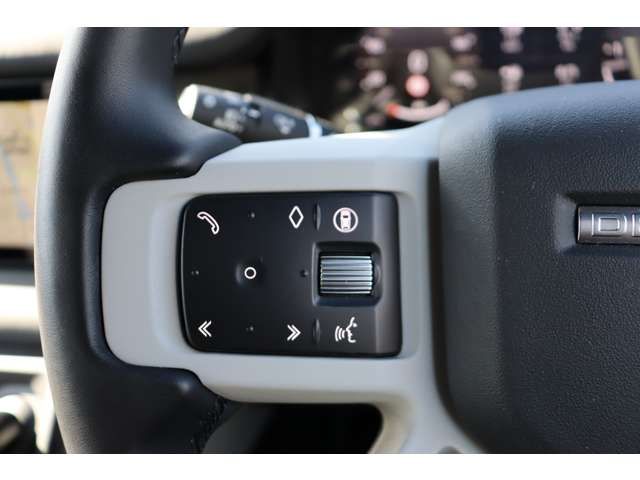 ROVER ROVER DEFENDER 2024