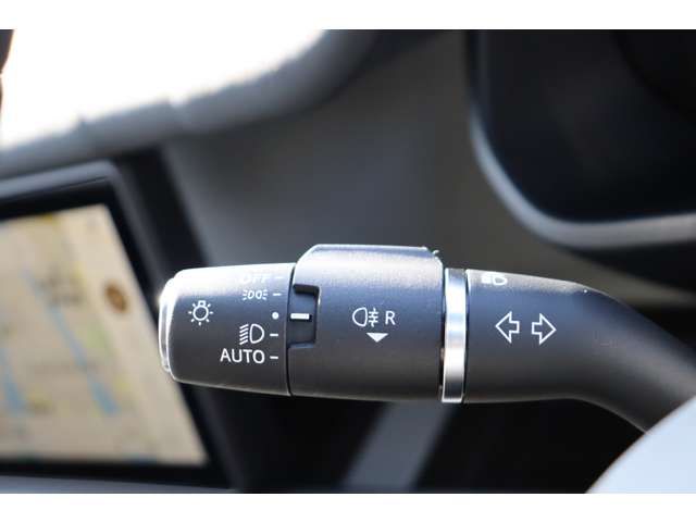 ROVER ROVER DEFENDER 2024