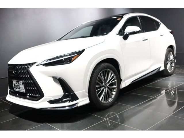 TOYOTA LEXUS NX250 2023