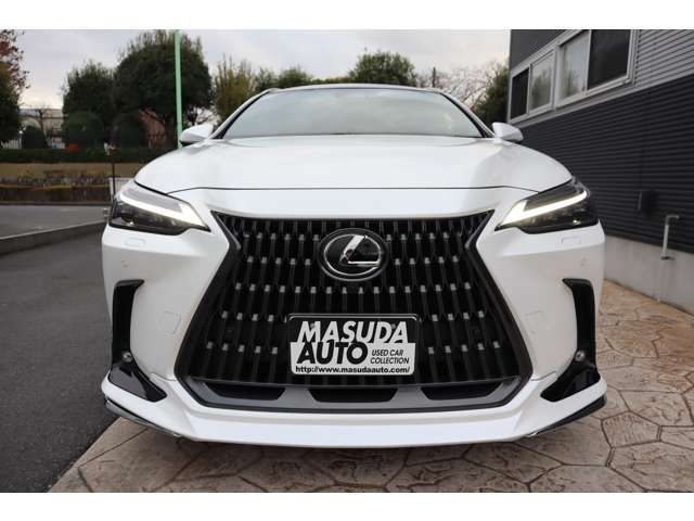 TOYOTA LEXUS NX250 2023