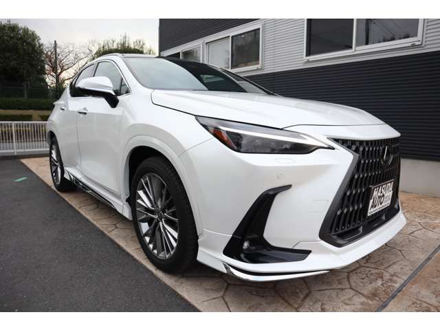 TOYOTA LEXUS NX250 2023