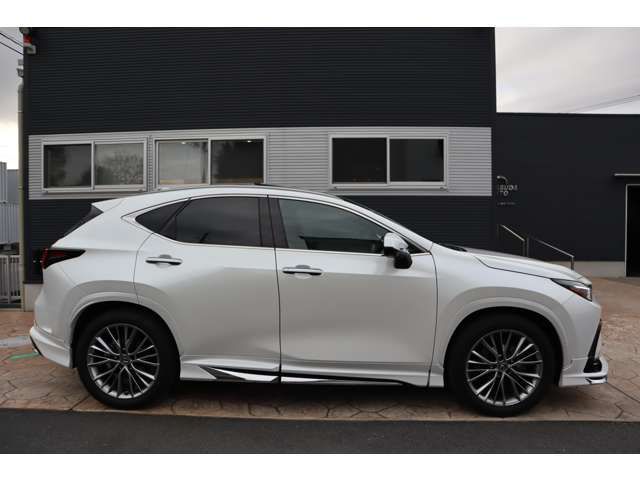 TOYOTA LEXUS NX250 2023