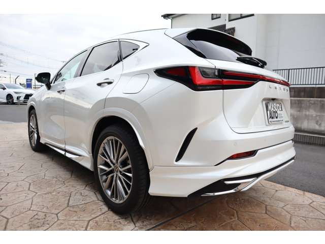 TOYOTA LEXUS NX250 2023