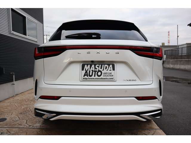 TOYOTA LEXUS NX250 2023