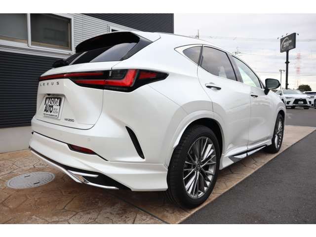 TOYOTA LEXUS NX250 2023