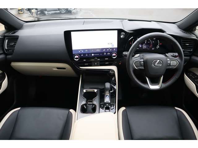 TOYOTA LEXUS NX250 2023
