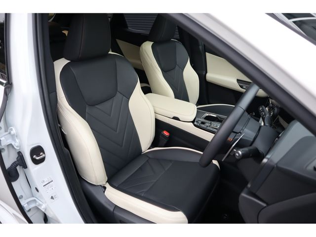 TOYOTA LEXUS NX250 2023