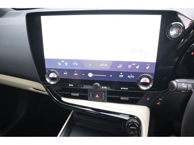 TOYOTA LEXUS NX250 2023