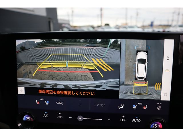 TOYOTA LEXUS NX250 2023