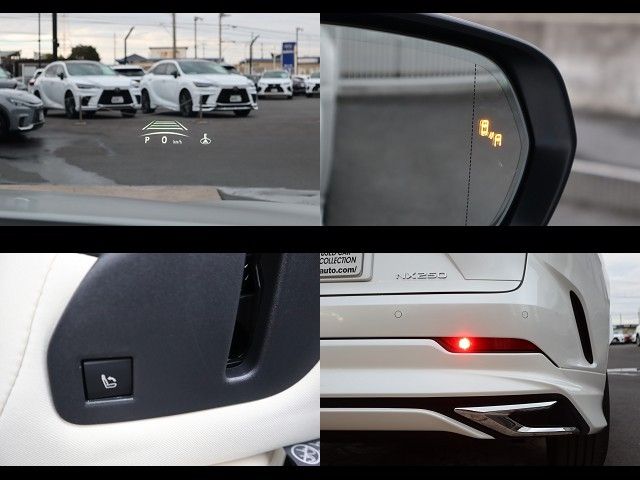 TOYOTA LEXUS NX250 2023