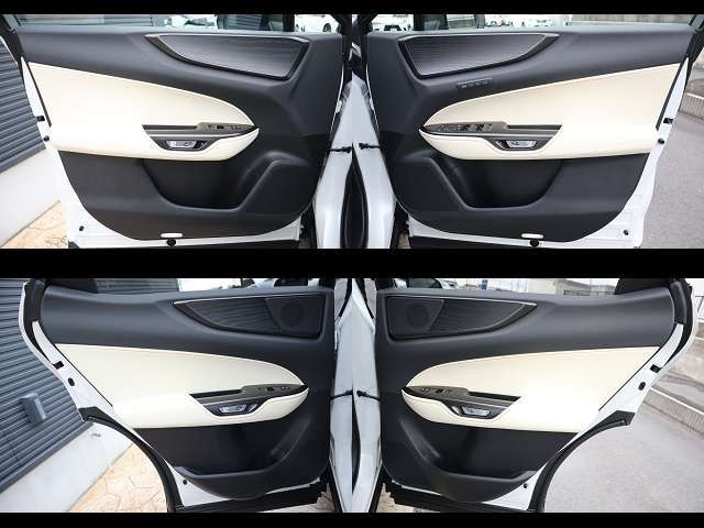 TOYOTA LEXUS NX250 2023