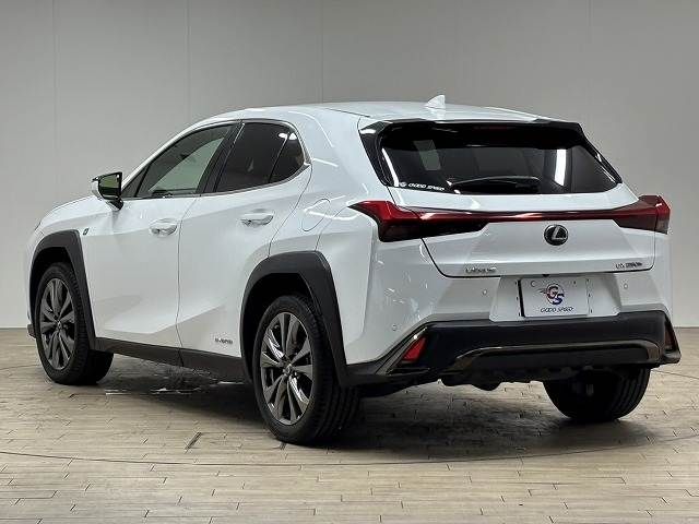 TOYOTA LEXUS UX250h 2019