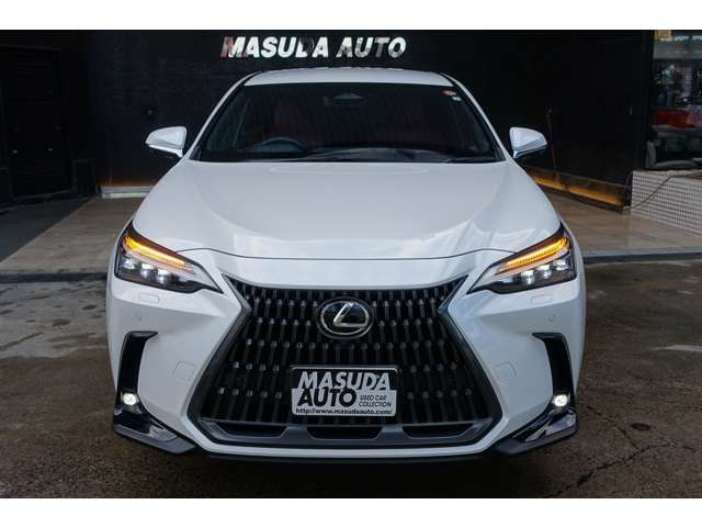 TOYOTA LEXUS NX350h 2023