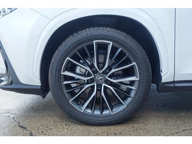 TOYOTA LEXUS NX350h 2023