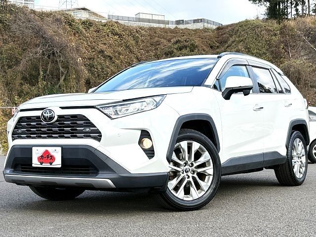 TOYOTA RAV4 4WD 2019