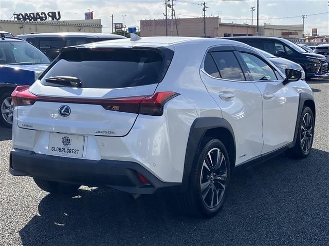TOYOTA LEXUS UX250h 2022