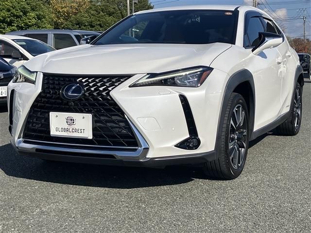 TOYOTA LEXUS UX250h 2022