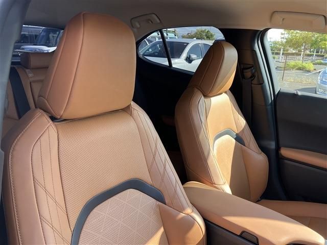 TOYOTA LEXUS UX250h 2022