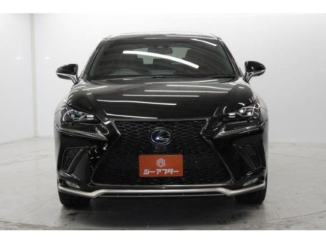 TOYOTA LEXUS NX300 2018