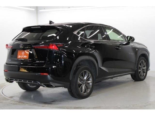 TOYOTA LEXUS NX300 2018