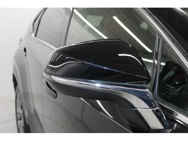 TOYOTA LEXUS NX300 2018