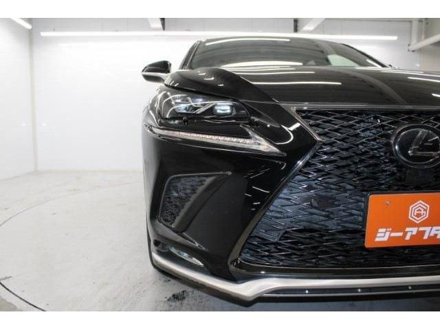 TOYOTA LEXUS NX300 2018