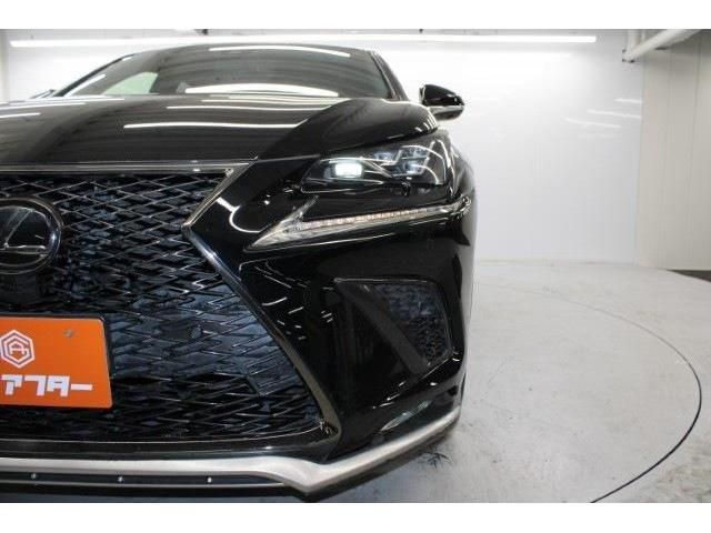 TOYOTA LEXUS NX300 2018