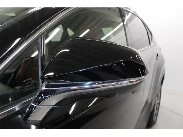 TOYOTA LEXUS NX300 2018